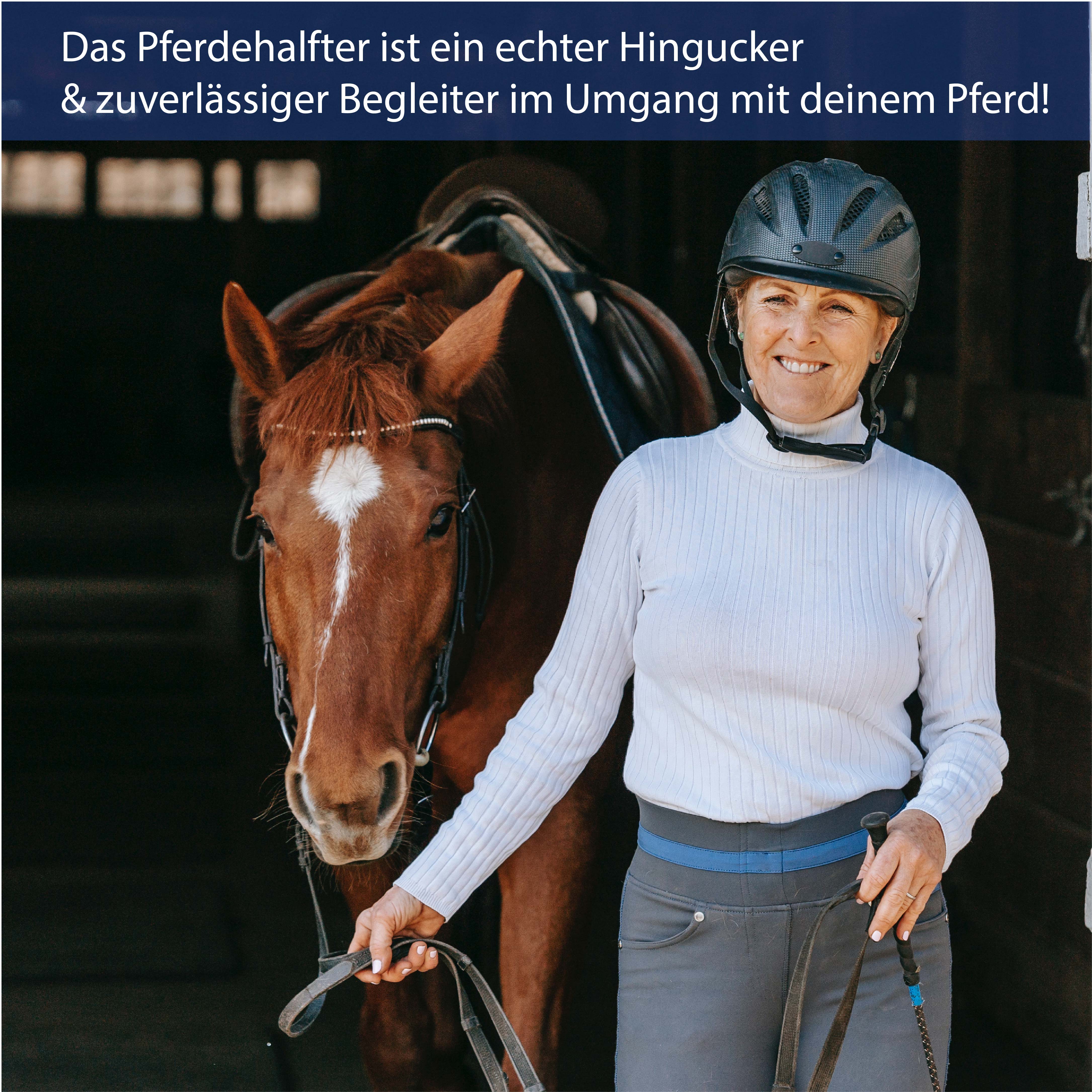 Halfter mit Fell, weich gepolstert in blau